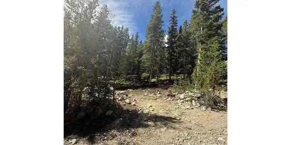 Image 4 Image 4