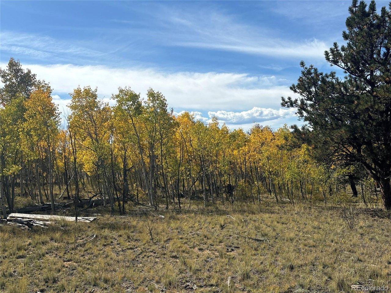 Image 3: Aspens grow along both sides of the lot Image 3: Aspens grow along both sides of the lot