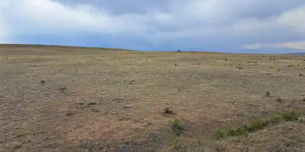 Image 4 Image 4
