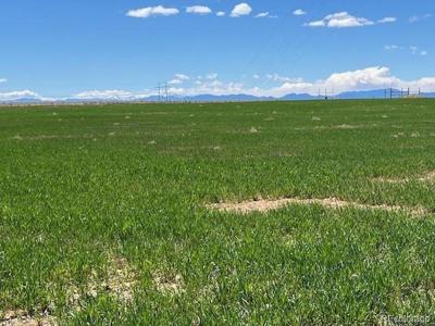 TBD County Road 19