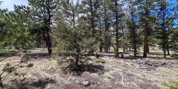 Image 4 Image 4