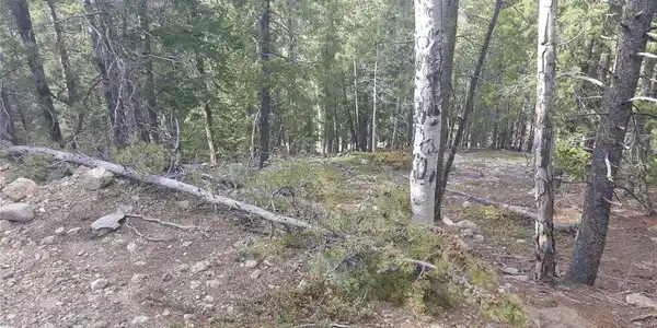 Image 4 Image 4
