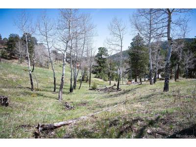 TBD Pine Valley Rd