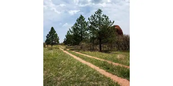 Image 4 Image 4