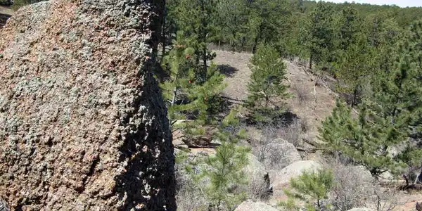 280 Timber Trl