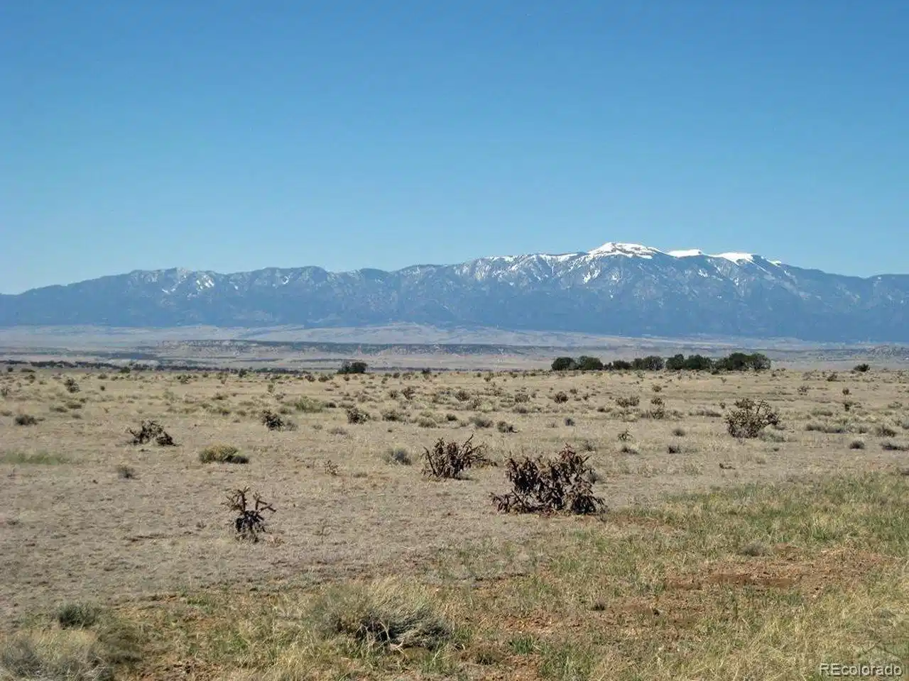 Image 1 Image 1