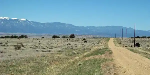 Image 4 Image 4