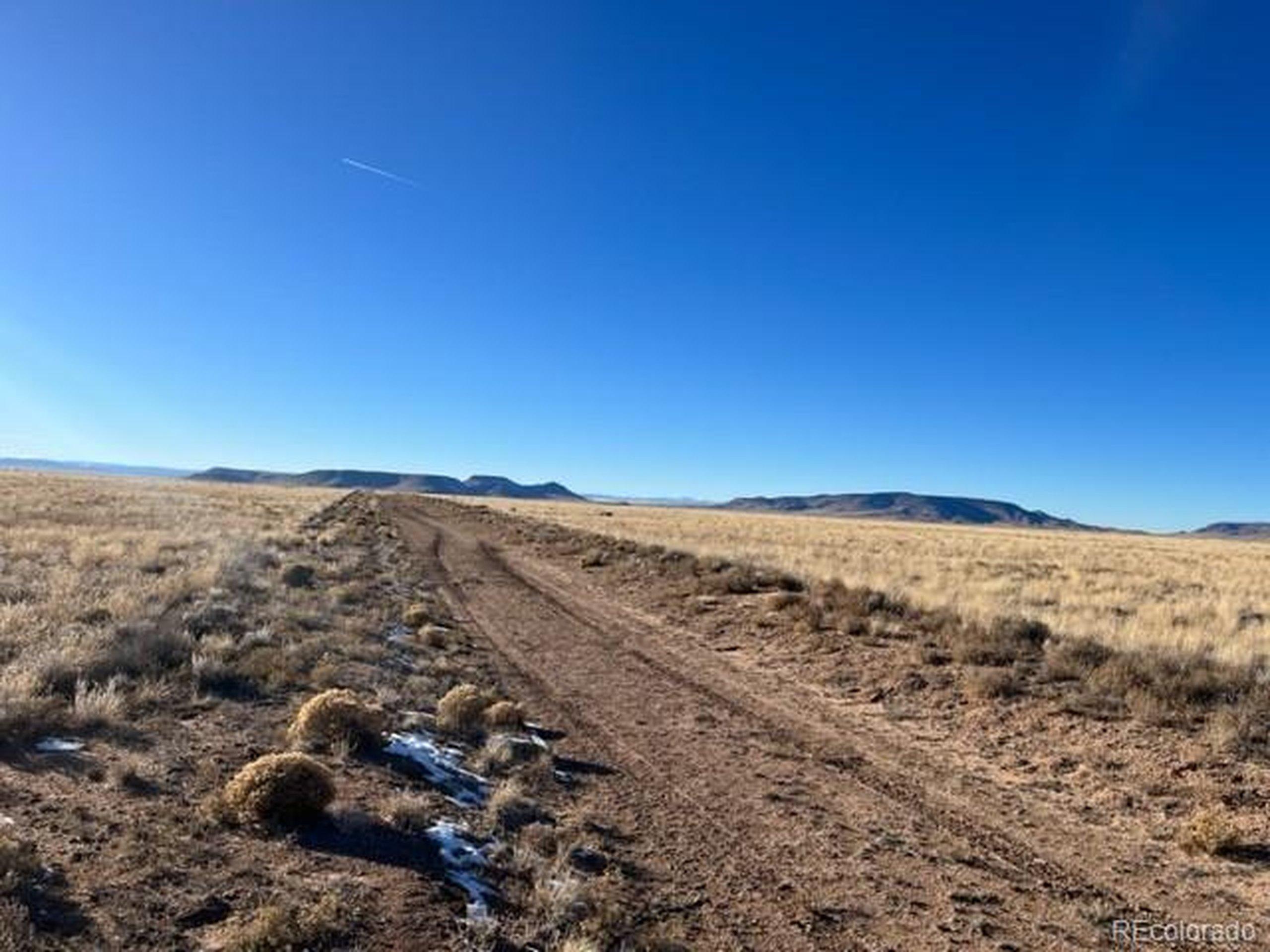 Image 4 Image 4