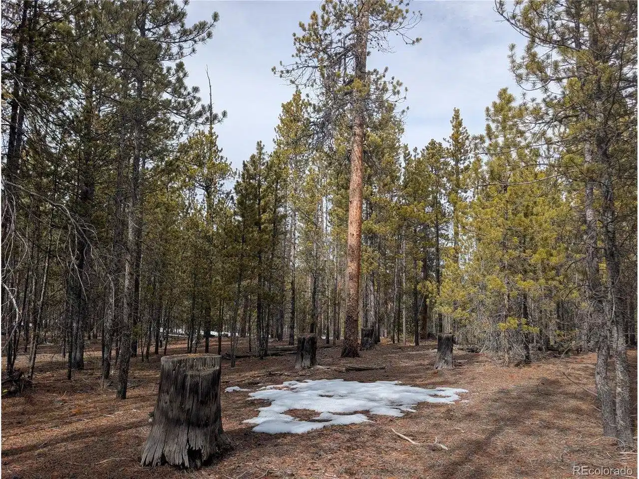 Image 1: 0.3 acre property in Twin Lakes