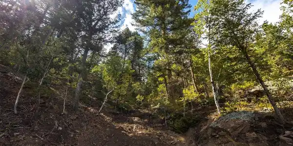 Image 4 Image 4
