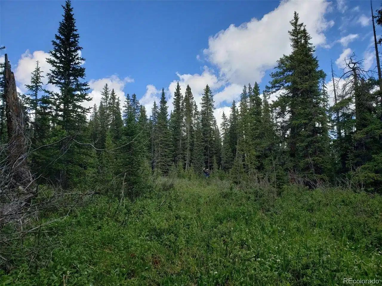 Image 1 Image 1