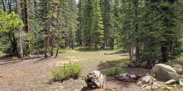 Image 3 Image 3