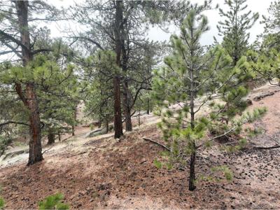 255 Pinon Ln