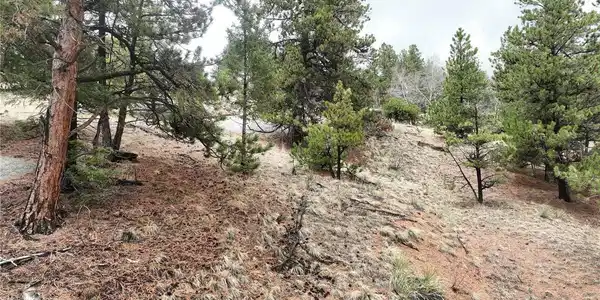 Image 3 Image 3