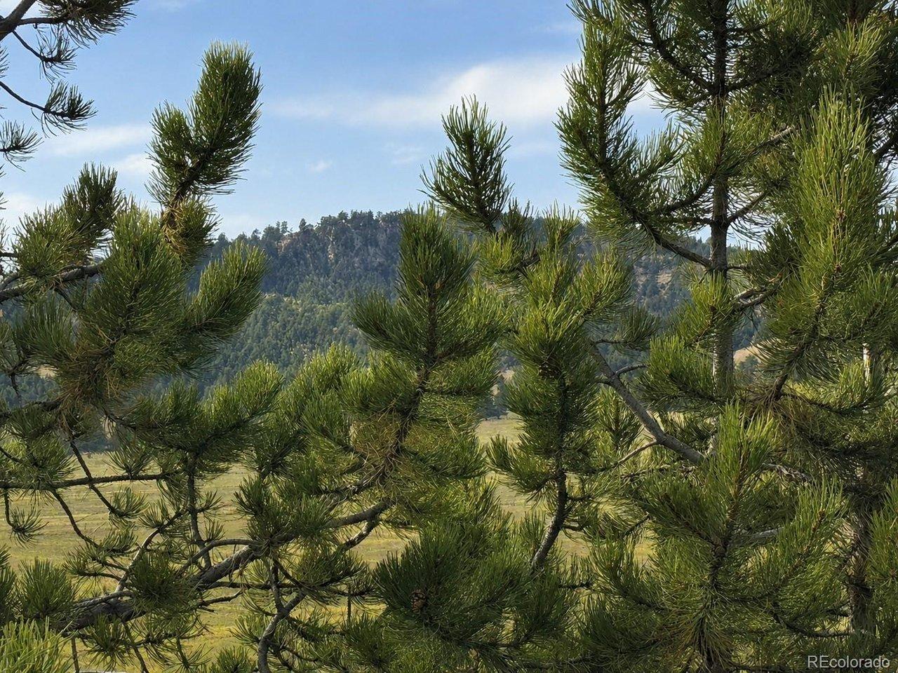 Image 3 Image 3