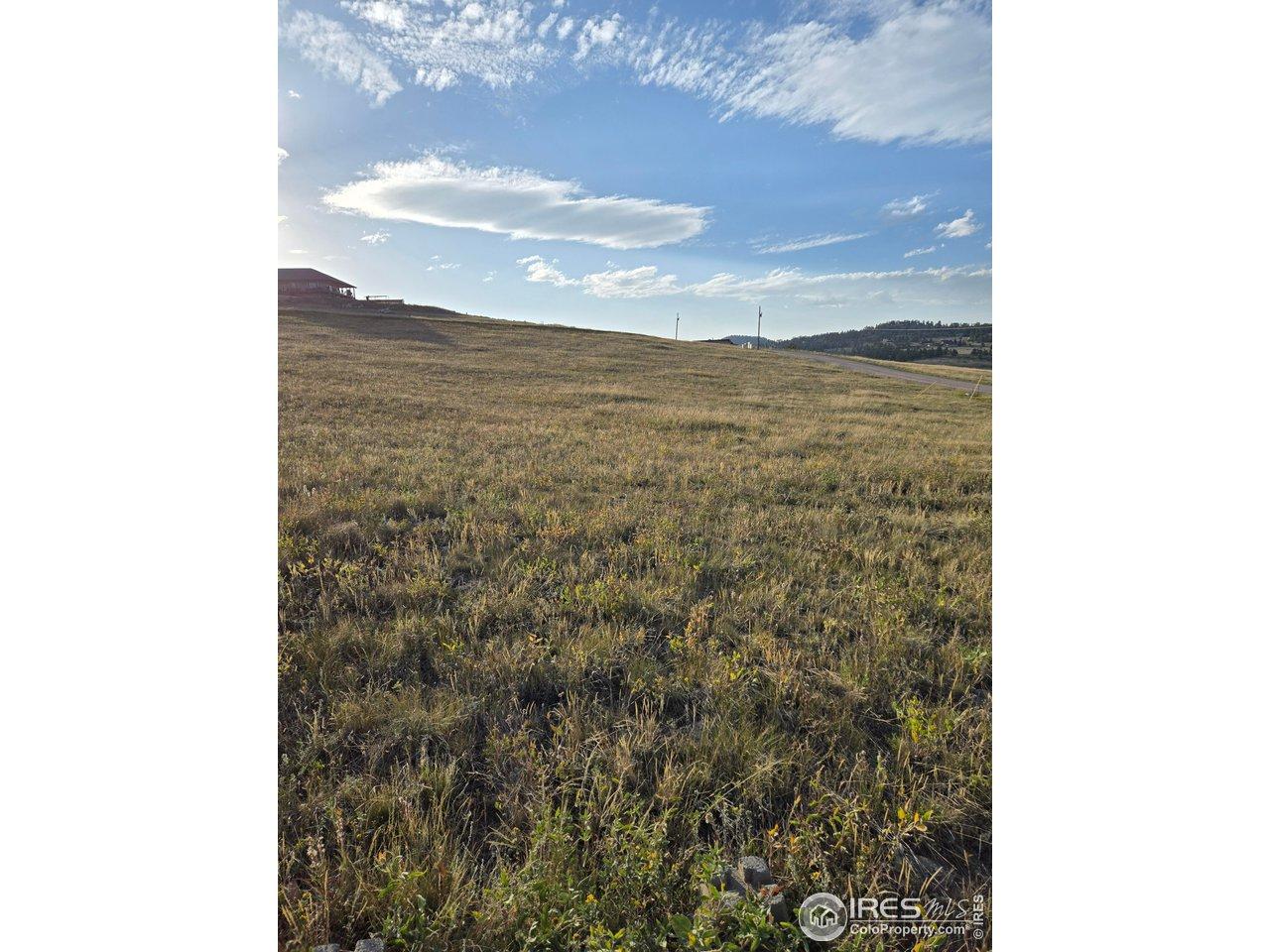 Image 2: Gently sloping meadowland