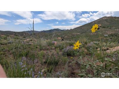 1324 Meadow Mountain Dr