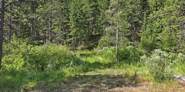 Image 2: Several buildable locations on the property