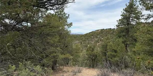 Image 4 Image 4