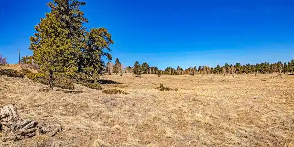 1250 Kaufman Rd