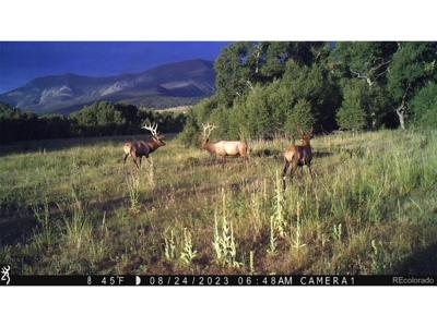 3870 County Road 125