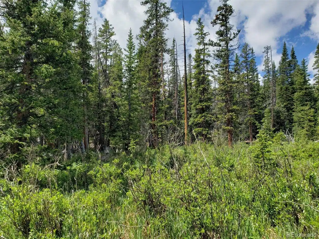 Image 1 Image 1