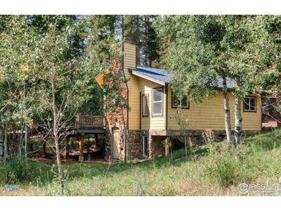 423 Mountain Meadows Dr