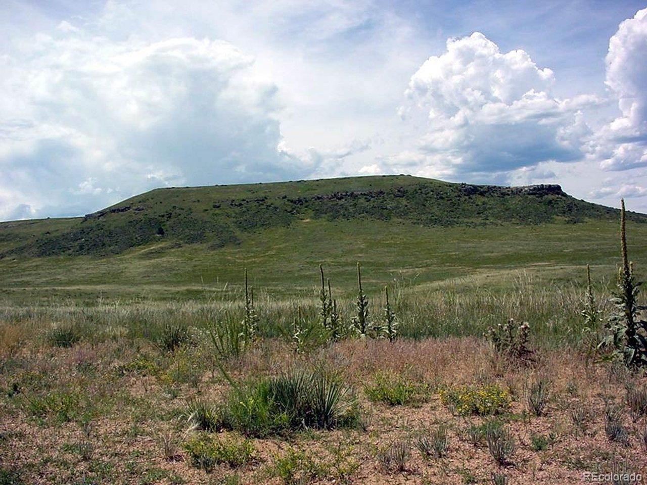 Image 4 Image 4