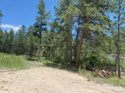1025 Tenderfoot Dr