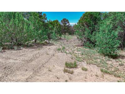 11771 Diamond View Rd