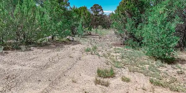 11771 Diamond View Rd