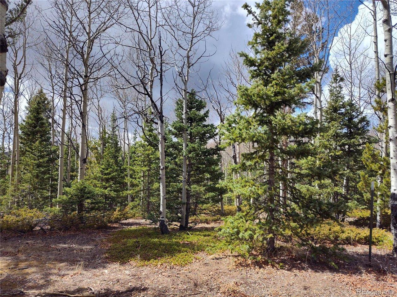 Image 2: Pines and Aspens. Image 2: Pines and Aspens.