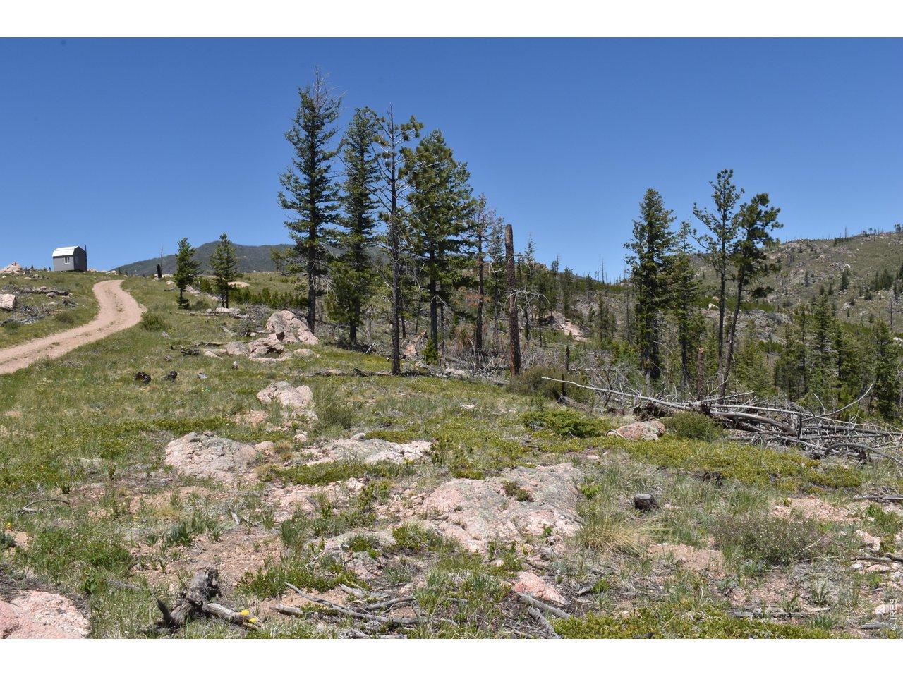 Image 4 Image 4