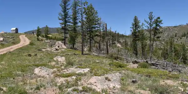 Image 4