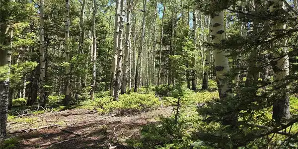 Image 3 Image 3