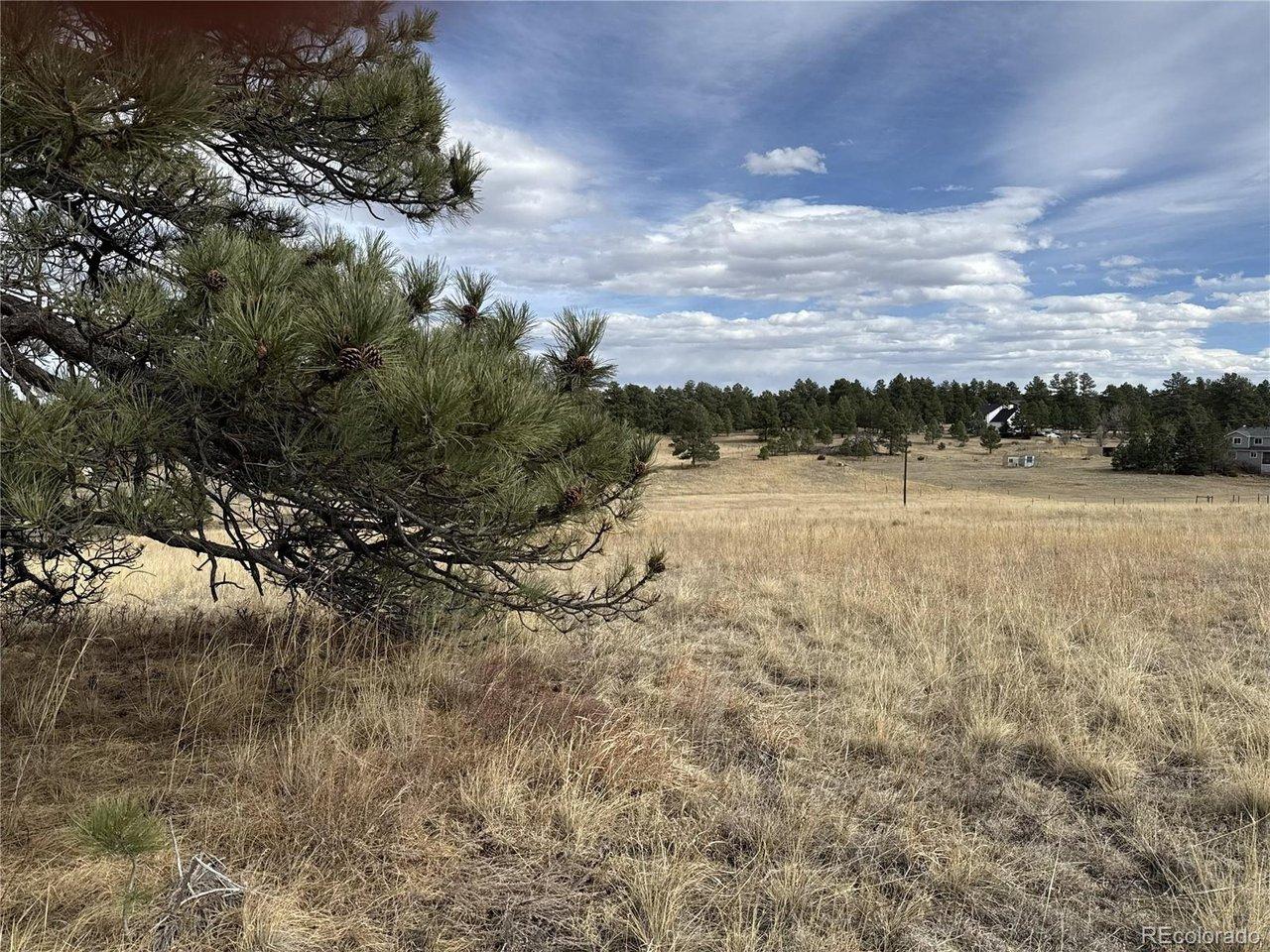 Image 3 Image 3