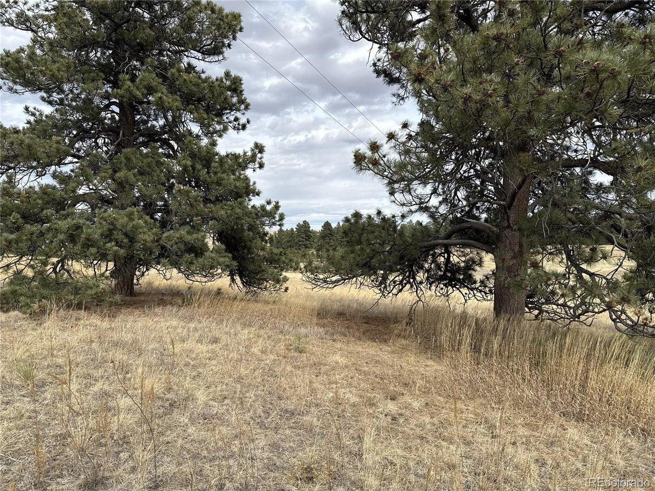 Image 4 Image 4