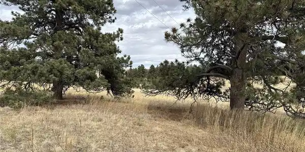 Image 4 Image 4