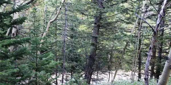 Image 4 Image 4