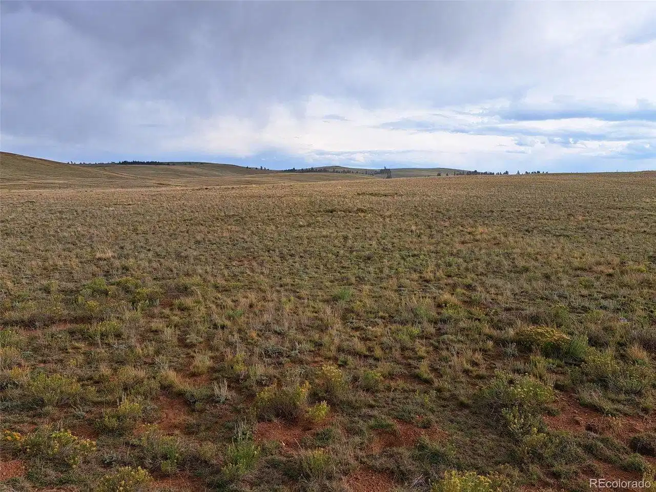 Image 1 Image 1