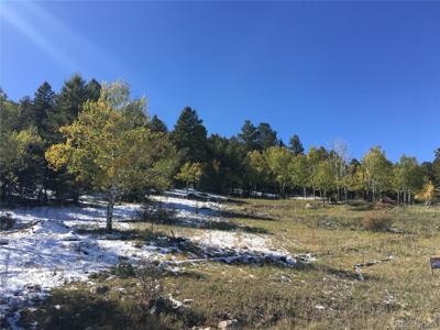14745 Wetterhorn Peak Trl