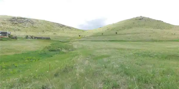Image 3 Image 3