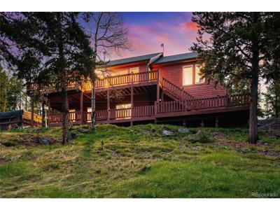 11163 Conifer Mountain Rd