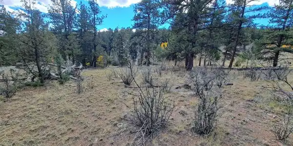 Image 3 Image 3
