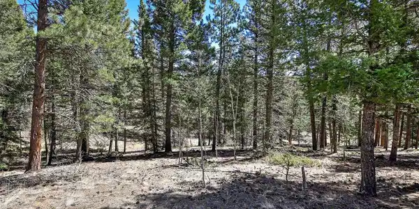 Image 3 Image 3