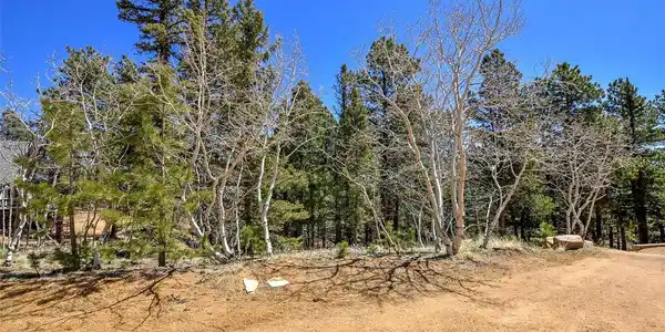 Image 4 Image 4