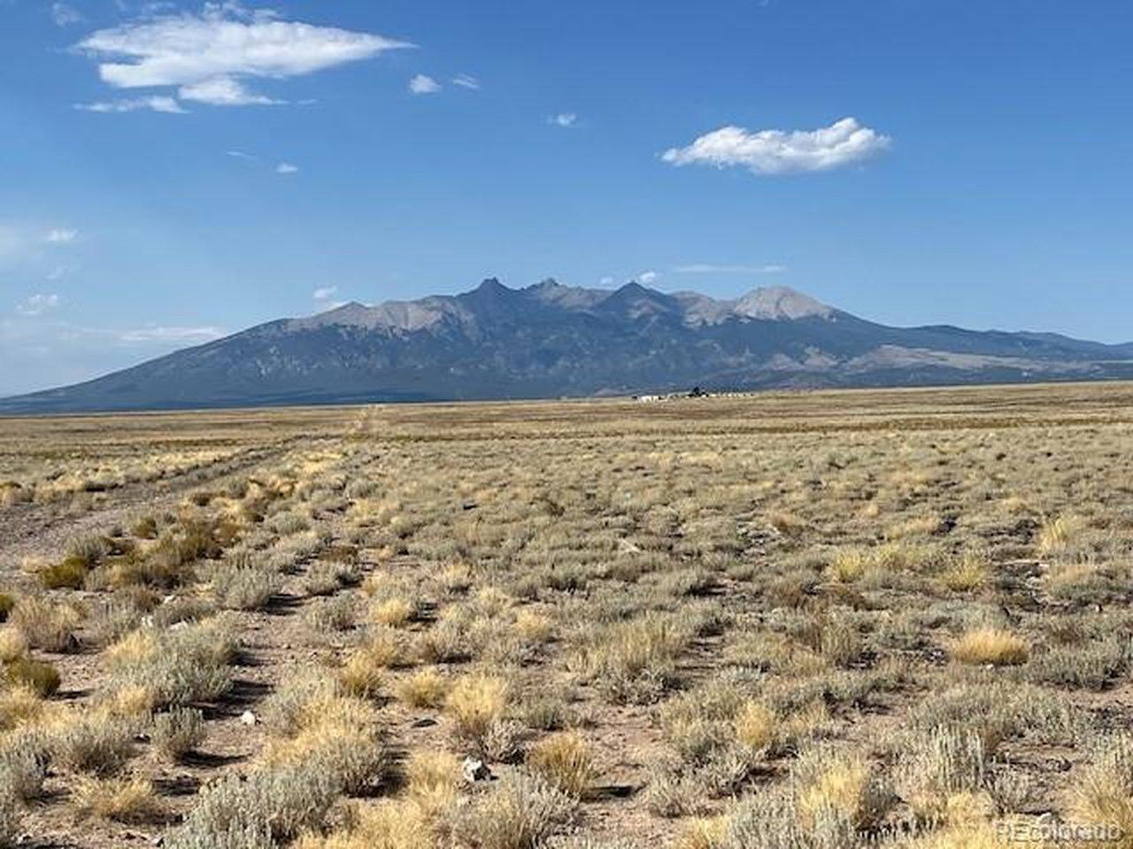 Image 4 Image 4