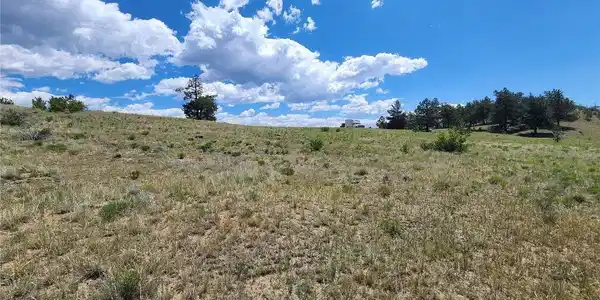 Image 4 Image 4