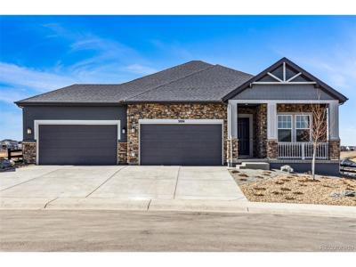 3884 Freestone