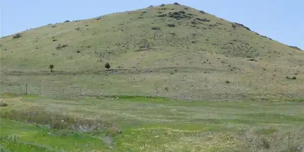 Image 4 Image 4